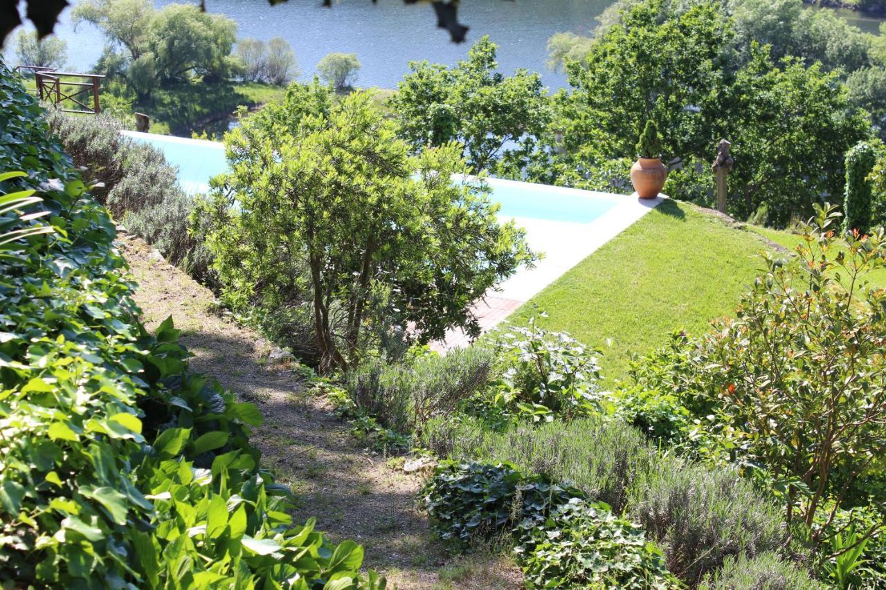 "Bouca Drigues" Casa Antiga De Pedra Com Piscina E Vista Rio Villa Amarante Buitenkant foto