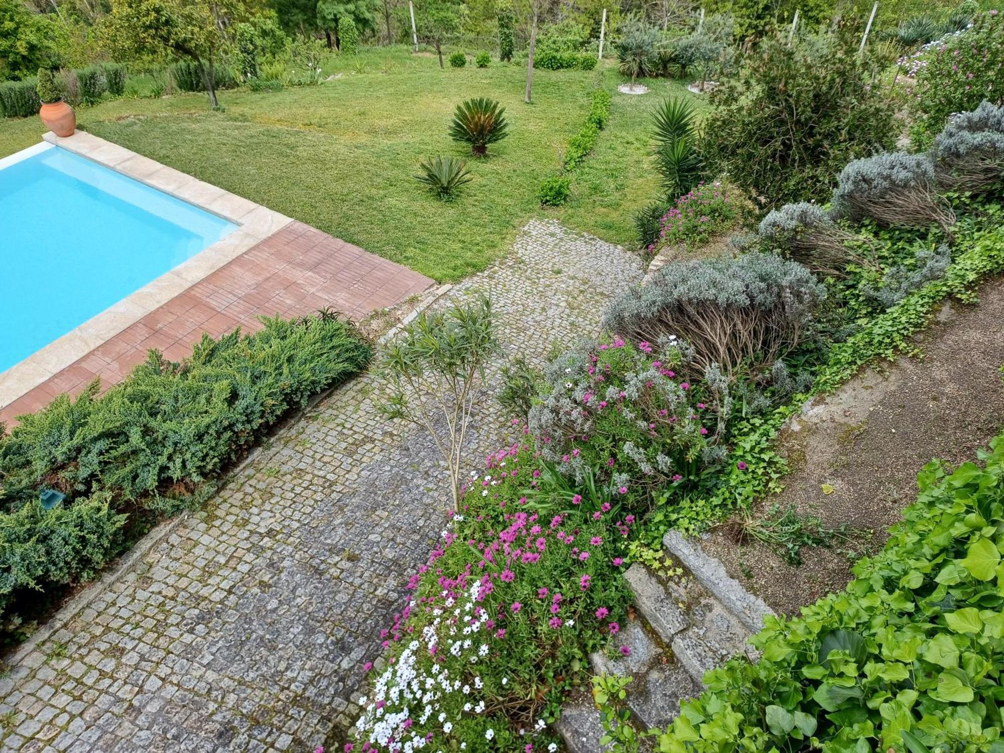 "Bouca Drigues" Casa Antiga De Pedra Com Piscina E Vista Rio Villa Amarante Buitenkant foto
